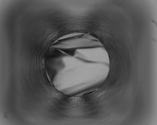 X0000091560528200709071130