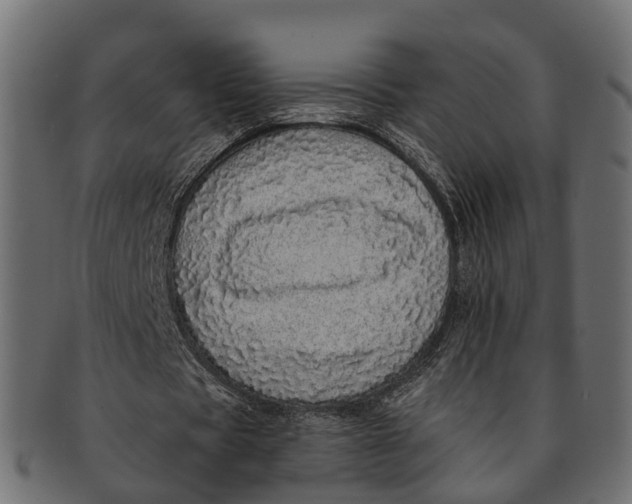 X0000091560529200709071129