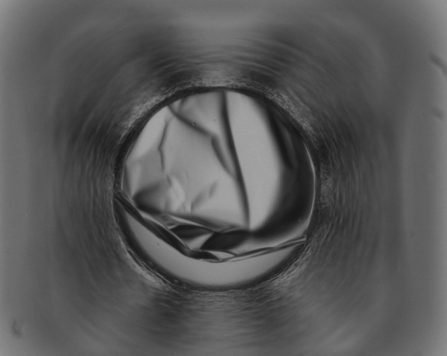 X0000091560530200709071129