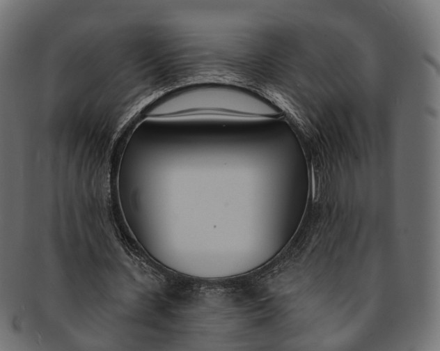 X0000091560531200709071129