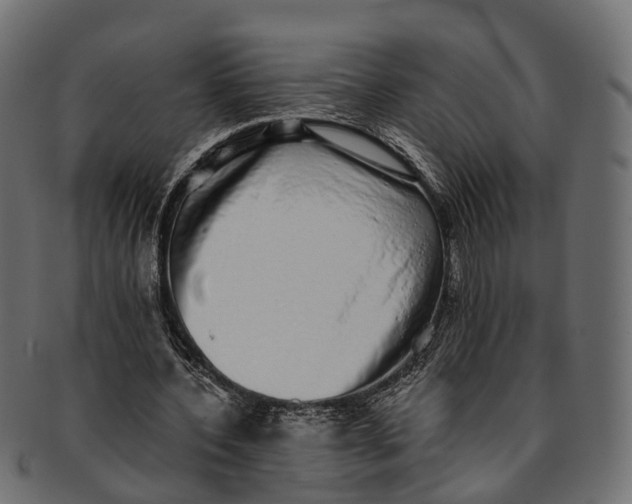 X0000091560532200709071129