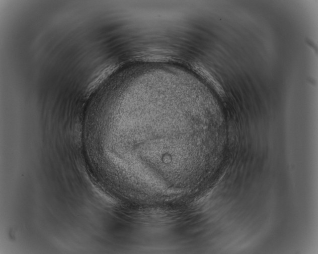 X0000091560533200709071129