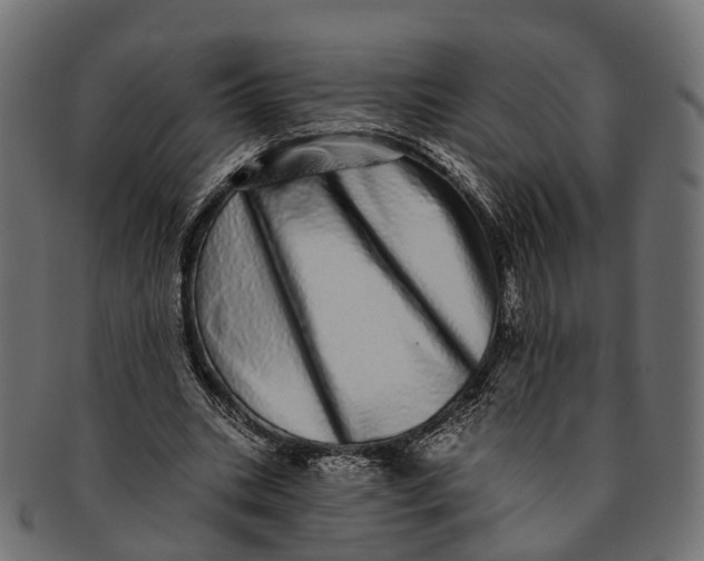 X0000091560535200709071129