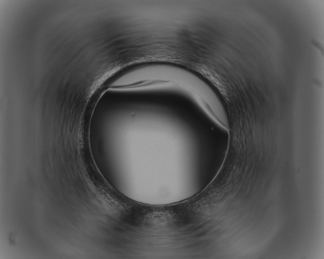 X0000091560536200709071129