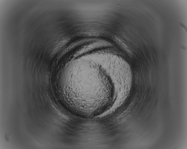 X0000091560537200709071129