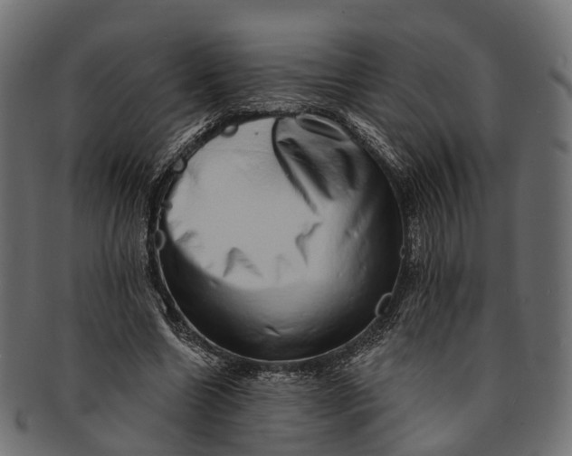 X0000091560538200709071129