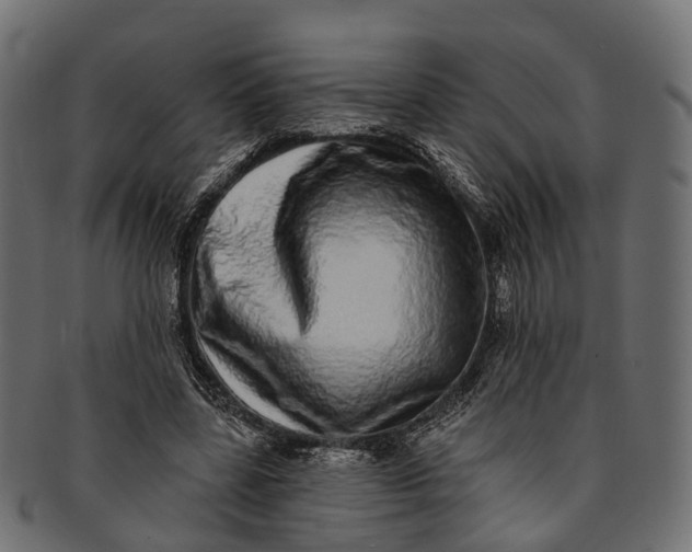 X0000091560539200709071129