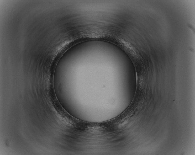 X0000091560540200709071129