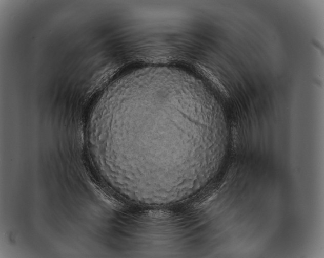 X0000091560541200709071129