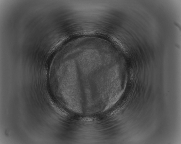 X0000091560542200709071129