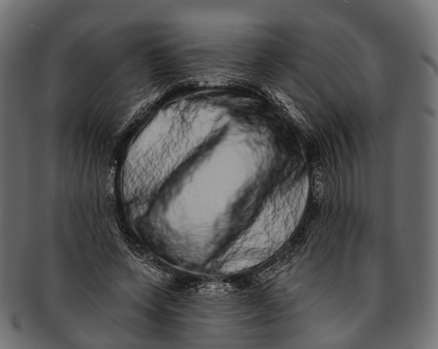 X0000091560543200709071129