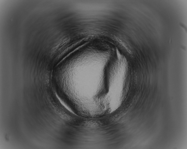 X0000091560545200709071129