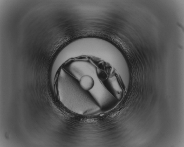 X0000091560546200709071129