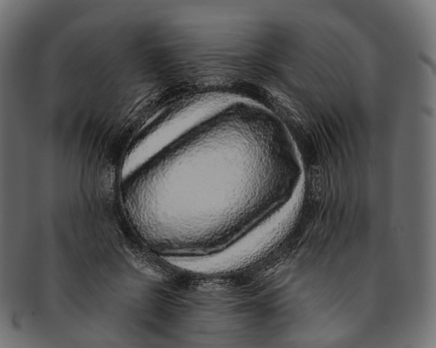 X0000091560550200709071129