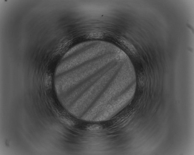 X0000091560551200709071129