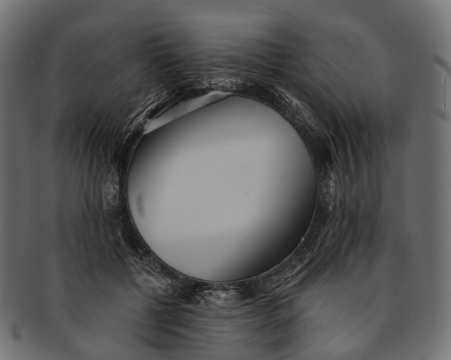 X0000091560552200709071129