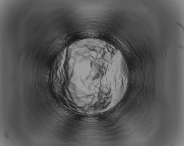 X0000091560553200709071129