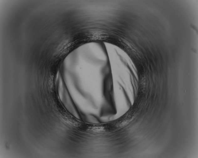 X0000091560554200709071129