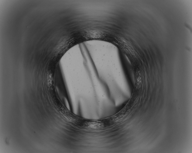 X0000091560555200709071129