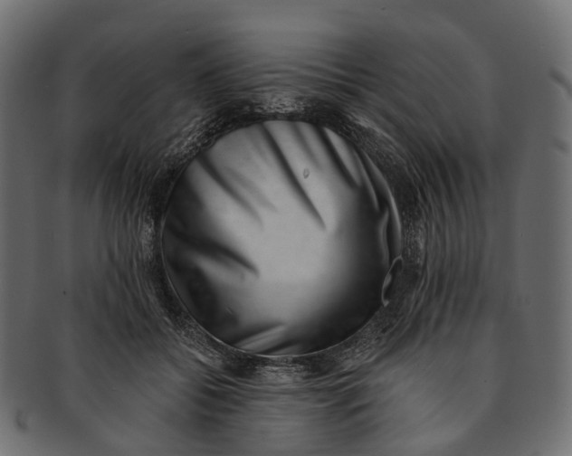 X0000091560556200709071129