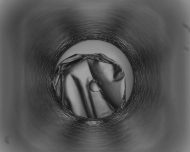 X0000091560558200709071129