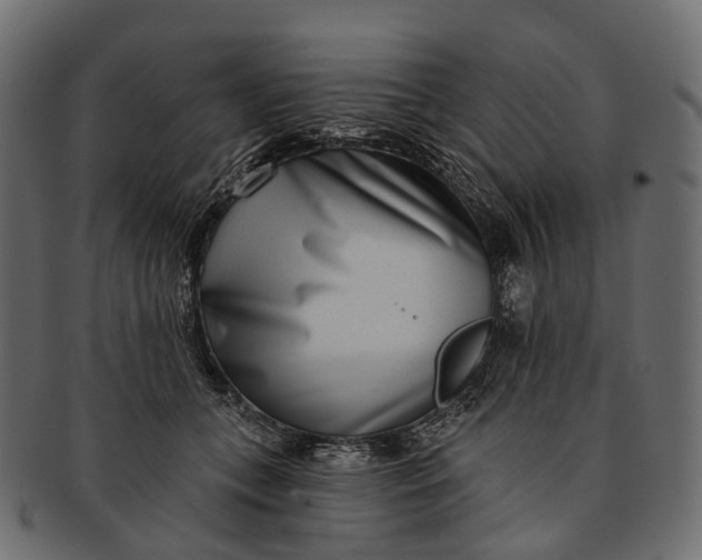 X0000091560559200709071129