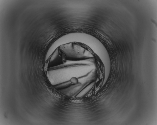 X0000091560560200709071129