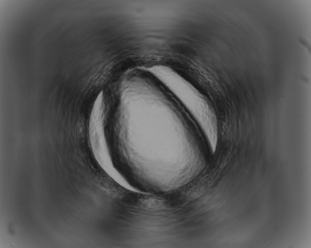 X0000091560561200709071129