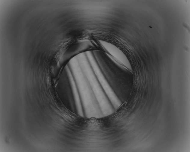 X0000091560562200709071130