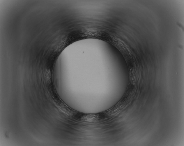 X0000091560563200709071130