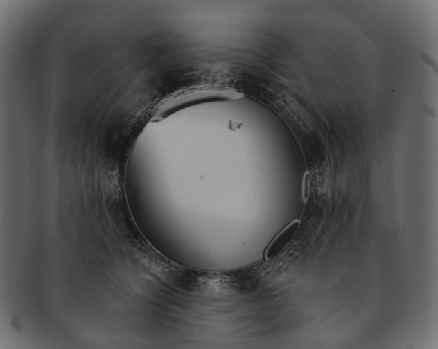 X0000091560564200709071130