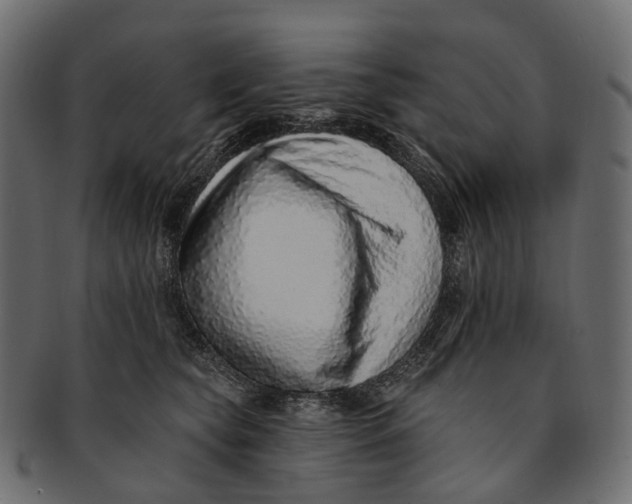 X0000091560565200709071130