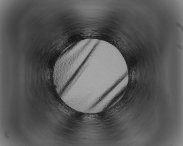 X0000091560567200709071130