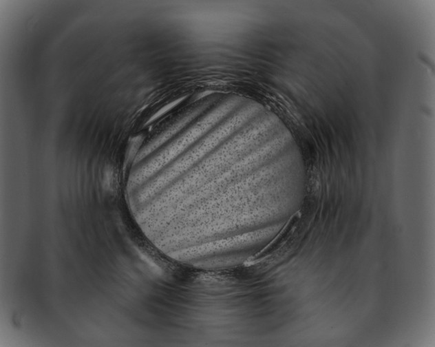 X0000091560568200709071130