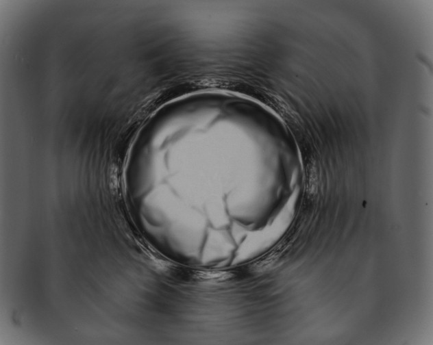 X0000091560569200709071130