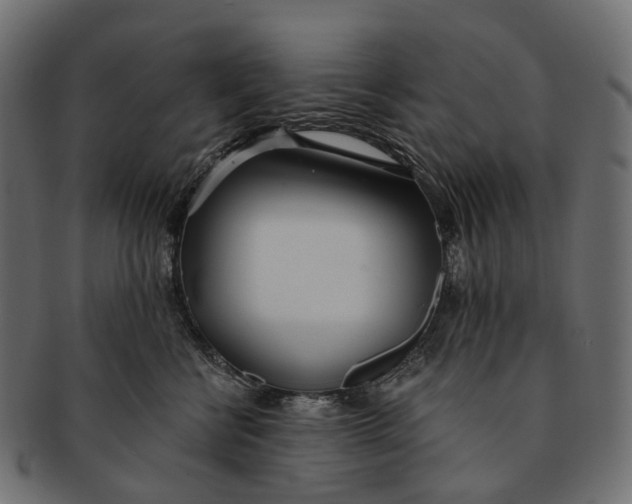 X0000091560570200709071130