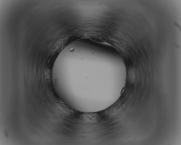 X0000091560571200709071130