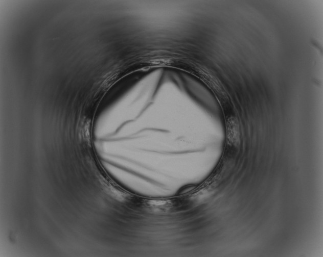 X0000091560573200709071130