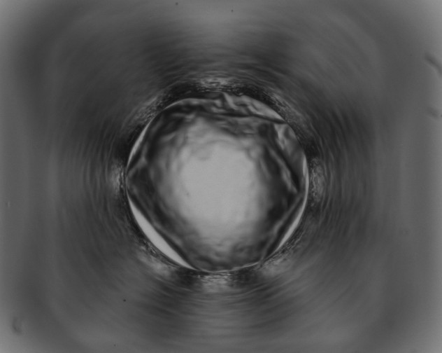 X0000091560574200709071130