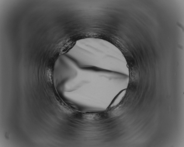 X0000091560575200709071130