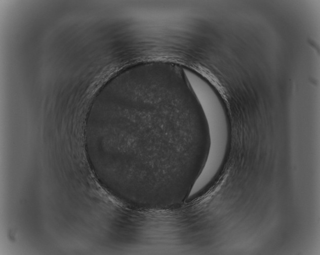 X0000091560577200709071129