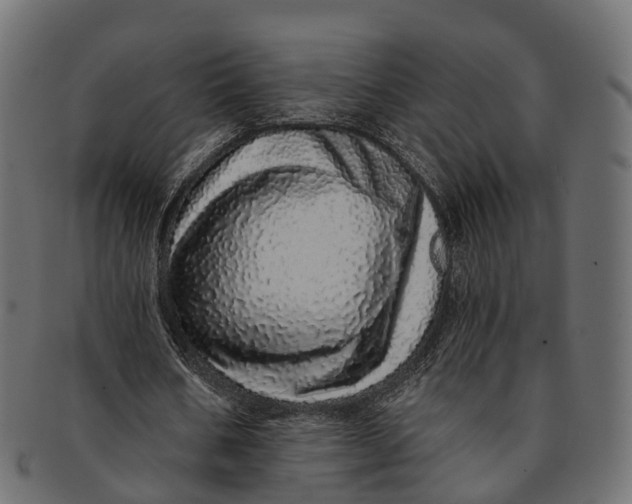 X0000091560578200709071129