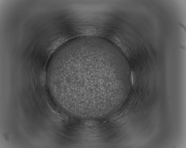 X0000091560579200709071129