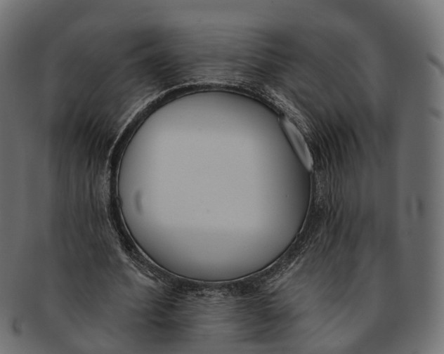 X0000091560580200709071129