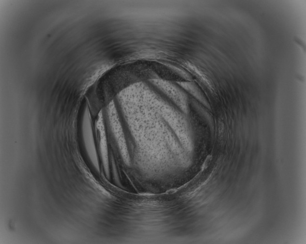 X0000091560581200709071129