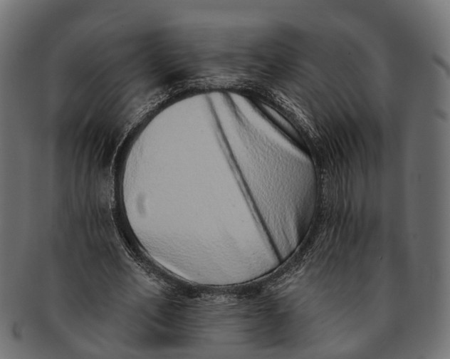 X0000091560582200709071129