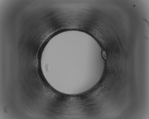 X0000091560584200709071129