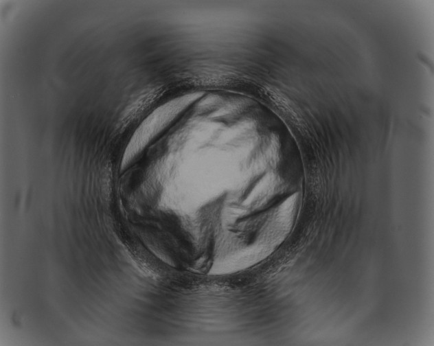 X0000091560586200709071129