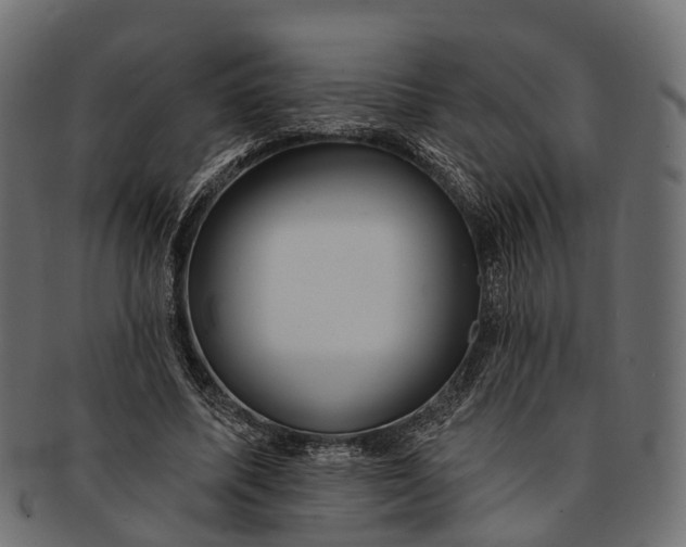 X0000091560587200709071129