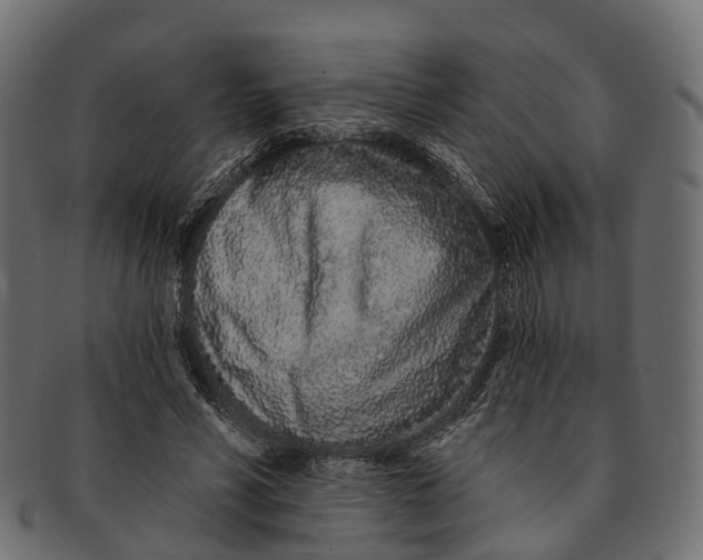 X0000091560590200709071129